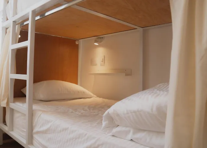 Vecinos By La PalmeraHostal